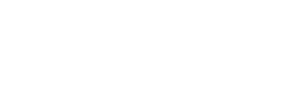 RFIDentikit Logo